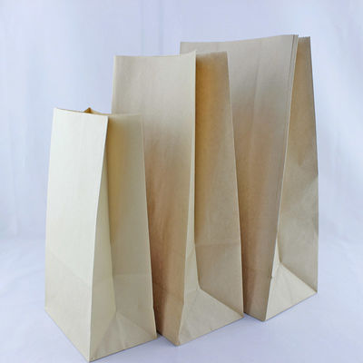 Printing Kraft Foil Lined Paper Bags No Handles Square Bottom Customized