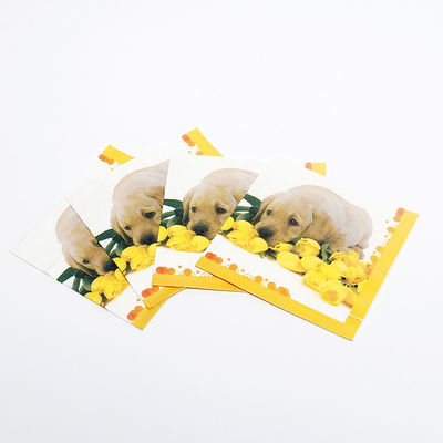 Printed Personalised Paper Napkins Cocktail Dinner Serviettes 1/4 1/8 N